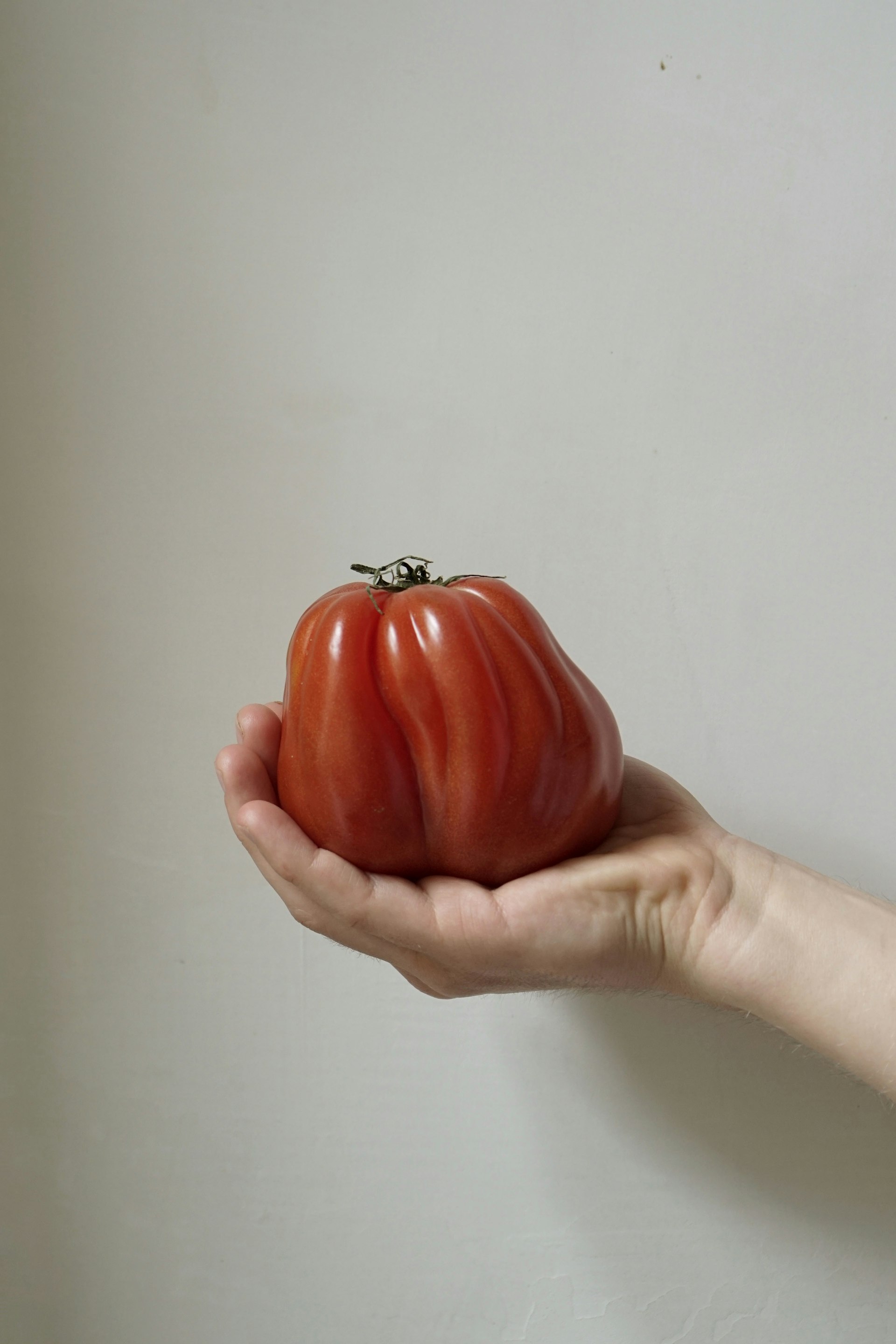Tomate auf Hand