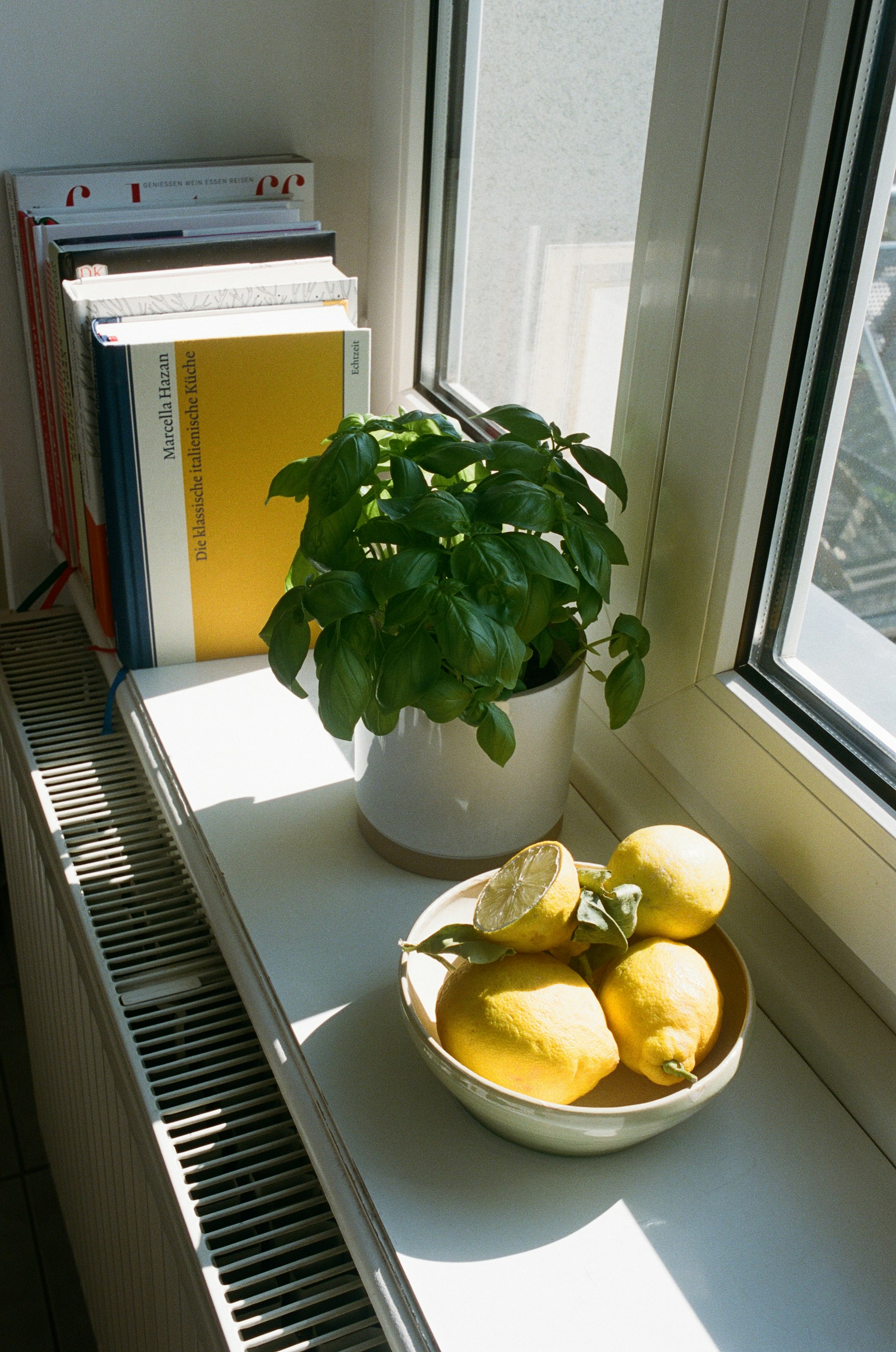 Fensterbrett mit Zitronen